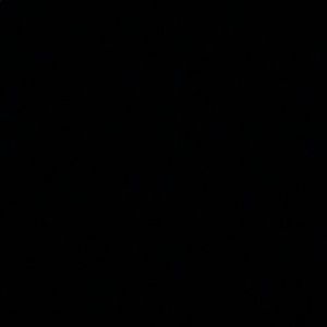 Meet your Posher, Bella